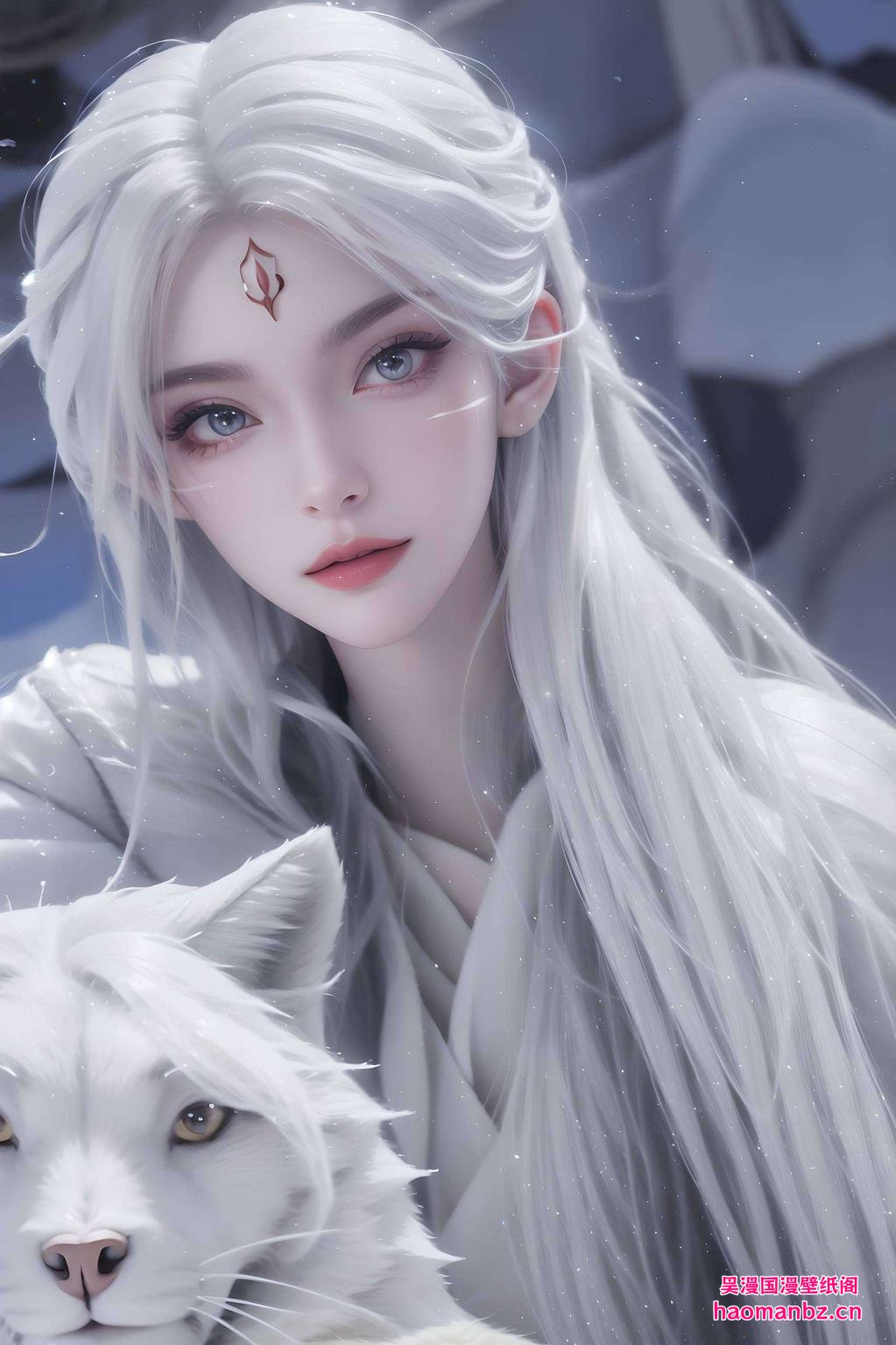 高清壁纸尽享视觉盛宴