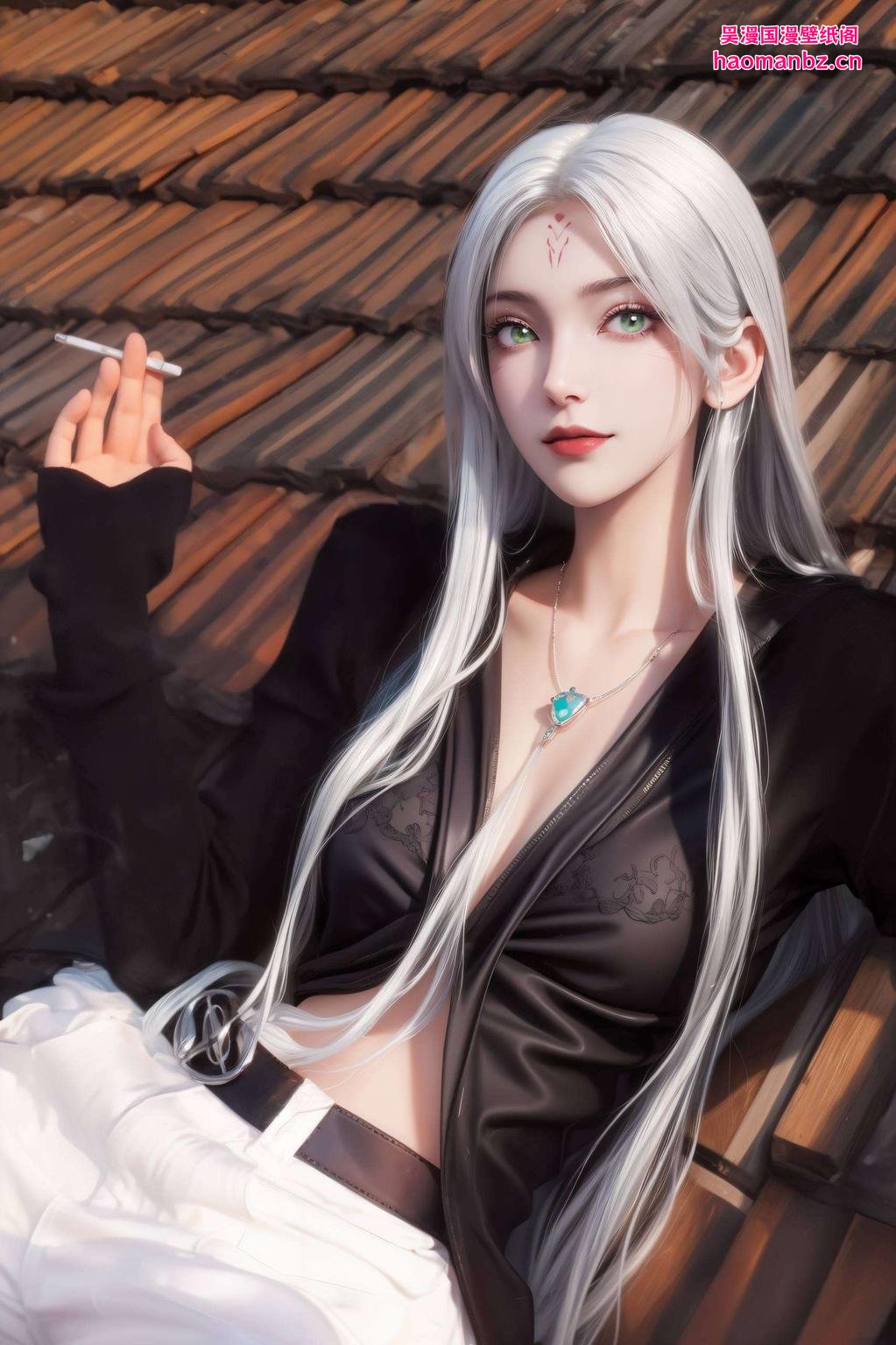 小白横屏壁纸灵动萌宠