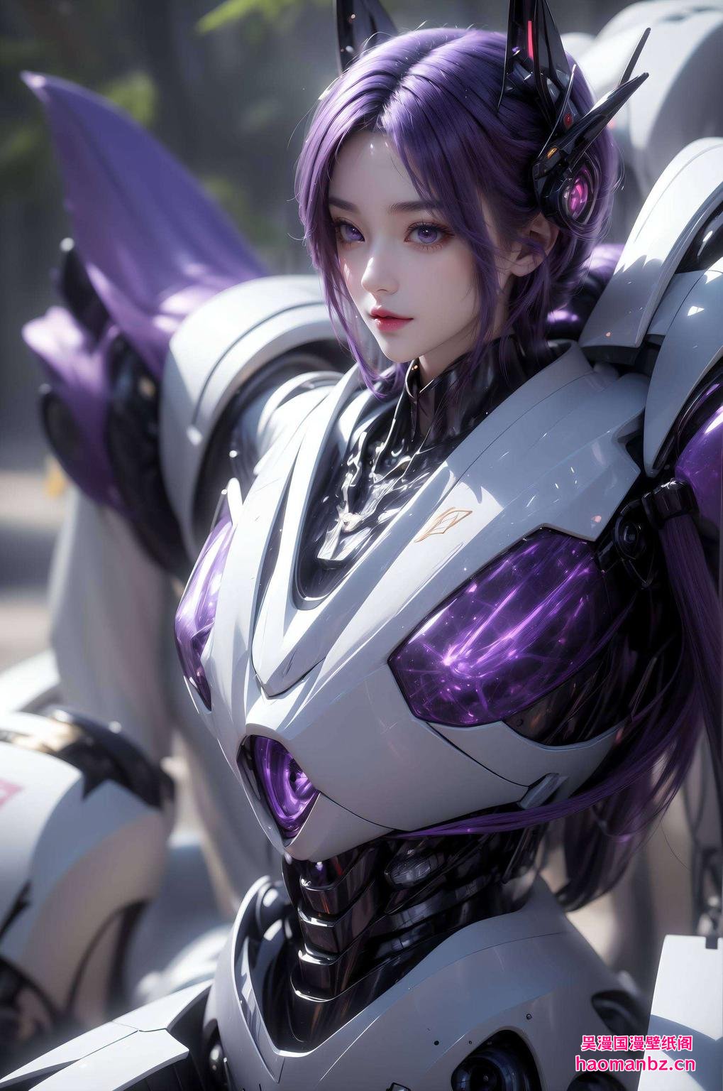 半屏风采尽在这份壁纸秀！